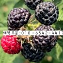 주정농장 이미지