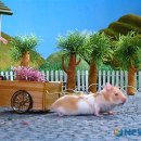 토끼와 거북이길 이미지