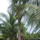 주식회사 서우 이미지