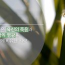 고린도후서 5:1~10 영원한 집을 사모하며 주님을 기쁘시게 하는 삶 이미지