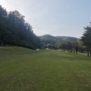 체리코스