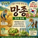6초순 터밭 이미지
