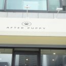 애프터 퍼피(AFTER PUPPY) 이미지
