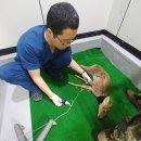 경기도 북부야생동물구조관리센터 이미지