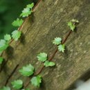 옥토상사 이미지