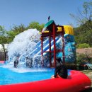 가족이 함께 떠나는 숲체험 & 놀이 - 낙엽으로 만드는 무지개 세계 | 🌊 원주 아이랑 갈만한 곳? 강원도 원주 수영장 캠핑장 BEST 4 추천!