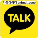 펫조이 | 동물교감카드/펫타로 상담후기_조이