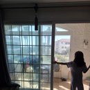 다이소표선점 이미지