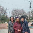 수목원꽃식물원 이미지