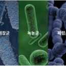 중앙무선 이미지