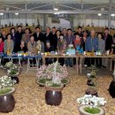 분재전시회 이미지