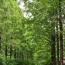 한빛항공여행사 이미지