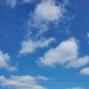 사동복지회관 이미지