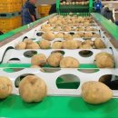 동진슈퍼 이미지