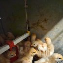 귀래농장 이미지