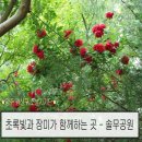 솔무공원 네이버블로그