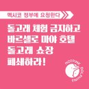 [핫핑크돌핀스 성명서] 멕시코 정부는 돌고래 체험 금지하고 바르셀로 마야 호텔 돌고래 쇼장 폐쇄하라 이미지