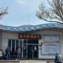 바이크탐방로 | 여행가는달 KTX개통 22주년 기차여행 강원 삼척 여행코스 4월 봄꽃여행 맹방유채꽃축제