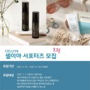 도도인터내셔널 이미지