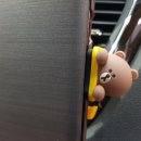 카쉐프