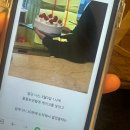 슈잘나 | TEMU DAY