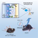 공감 연합뉴스
