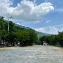 포레스트541 이미지