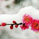 윤우로 일지 ＜2010.3.31＞ 이미지