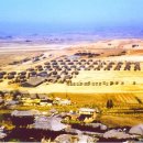 평택성동초등학교 이미지