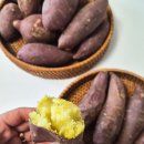 도사리 여주 꿀 농장 | 여주능서농원 무농약 여주고구마로 꿀고구마5KG 활용법