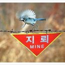 태양에프앤씨