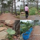 이백농장 이미지