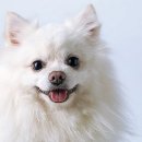 무지개다리 이미지