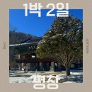 도평 스테이 | 양떼목장 말고 가볼만한곳 코스 추천 ㅣ 알펜시아리조트 숙박 조식 후기 월정사&amp;전나무숲길 트리고 카페