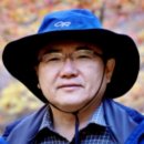 한국세탁 | [이종민의 나무 오디세이 44] 호두나무 들여온 류청신은 간신인가 (2023.10. 6.)