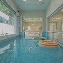 더아리웃집1 이미지