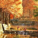 장태산 자연 휴양림 이미지