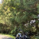 명진목장 이미지