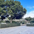 제주엘펜션 이미지