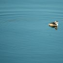 오리나들이 이미지