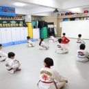 안정화랑태권도장 | 다양한 연령층이 참여하는 전문적인 태권도 도장