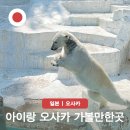 동물원 | 일본 오사카 가볼만한곳 아이랑 여행 일정 코스 덴노지 동물원 후기