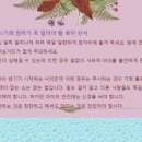 해피케어(평택·안성) 이미지