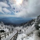 기장 더 밝은 안과의원 이미지