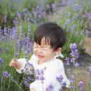 사곡리농장 | 광양 라벤더축제 사라실 농장 : 사진 찍기 좋은 여행지