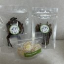 꼬숩당개 이미지