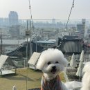 개프탑라운지 이미지