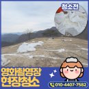 영화목장 | 영화세트장청소 강원도 평창 산너미목장 촬영 후 현장 정리 후기