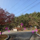 천생산공원(주차장) 화장실 이미지