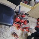 에코이앤씨 이미지